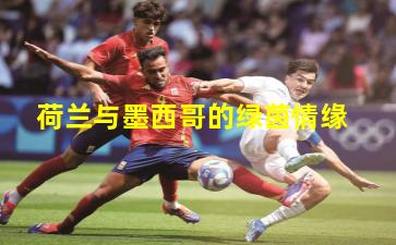 荷兰与墨西哥的绿茵情缘